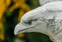 Gartendekoparadies Animaux-Aigle géant