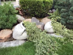 Gartendekoparadies Jardinières-Amphore comme vase à fleurs
