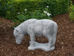 Gartendekoparadies Animaux-Animal invité permanent : poulain poney