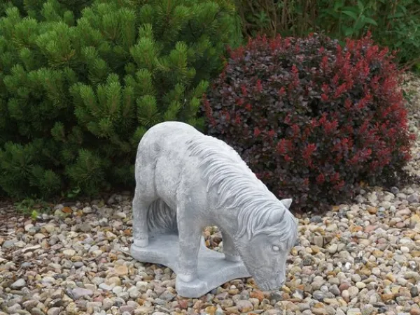 Gartendekoparadies Animaux-Animal invité permanent : poulain poney