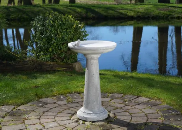 Gartendekoparadies Belle-Bain d'oiseau à base ronde