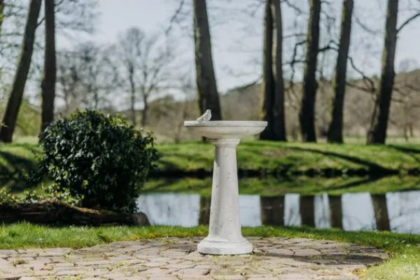 Gartendekoparadies Belle-Bain d'oiseau à base ronde