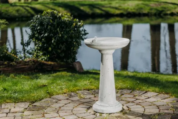 Gartendekoparadies Belle-Bain d'oiseau à base ronde