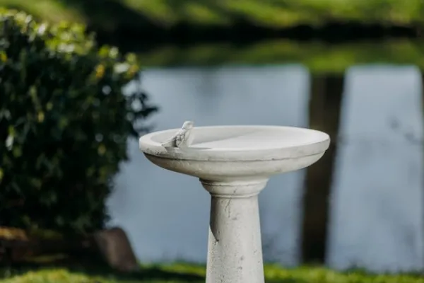 Gartendekoparadies Belle-Bain d'oiseau à base ronde