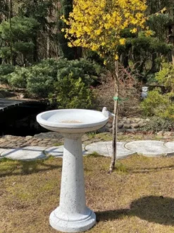 Gartendekoparadies Belle-Bain d'oiseau à base ronde