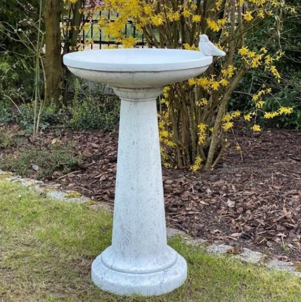 Gartendekoparadies Belle-Bain d'oiseau à base ronde