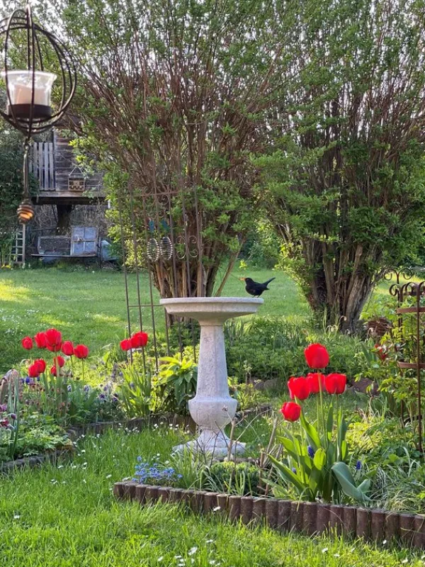 Gartendekoparadies Belle-Bain d'oiseaux à base carrée