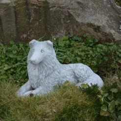 Gartendekoparadies Animaux-Beau colley rugueux