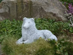 Gartendekoparadies Animaux-Beau colley rugueux