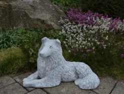Gartendekoparadies Animaux-Beau colley rugueux