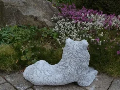 Gartendekoparadies Animaux-Beau colley rugueux