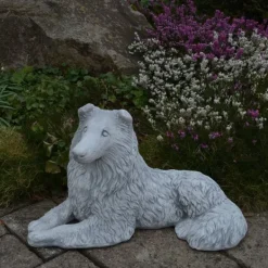 Gartendekoparadies Animaux-Beau colley rugueux