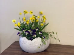 Gartendekoparadies Jardinières-Bol de Pâques