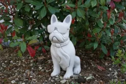 Gartendekoparadies Animaux-Bouledogue drôle