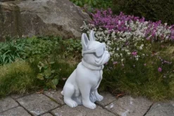 Gartendekoparadies Animaux-Bouledogue drôle
