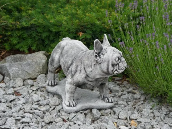 Gartendekoparadies Animaux-Bulldog français