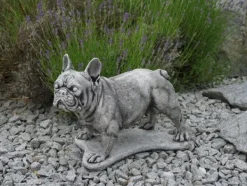 Gartendekoparadies Animaux-Bulldog français
