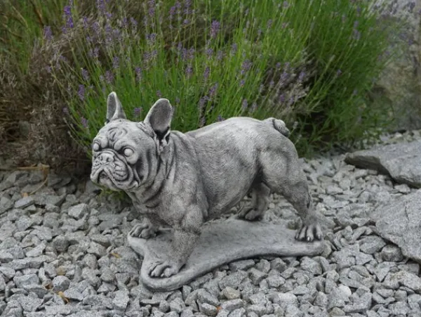 Gartendekoparadies Animaux-Bulldog français