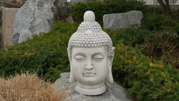 Gartendekoparadies Bouddhas-Buste du Grand Bouddha