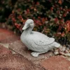 Gartendekoparadies Animaux-Canard mignon