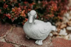 Gartendekoparadies Animaux-Canard mignon