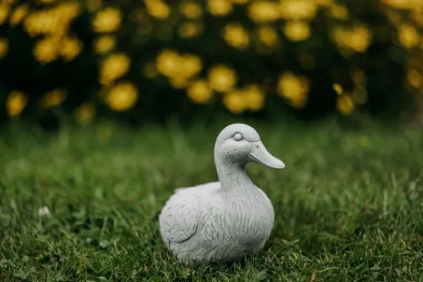 Gartendekoparadies Animaux-Canard mignon
