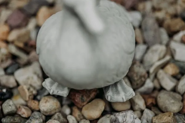 Gartendekoparadies Animaux-Canard mignon