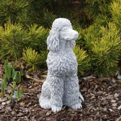Gartendekoparadies Animaux-Caniche fier avec des boucles pulpeuses