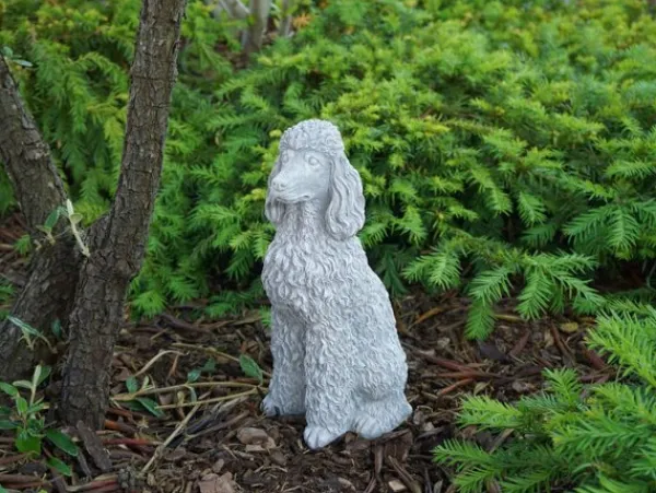 Gartendekoparadies Animaux-Caniche fier avec des boucles pulpeuses