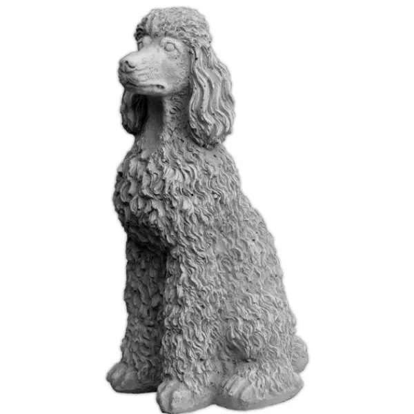 Gartendekoparadies Animaux-Caniche fier avec des boucles pulpeuses