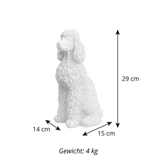 Gartendekoparadies Animaux-Caniche fier avec des boucles pulpeuses