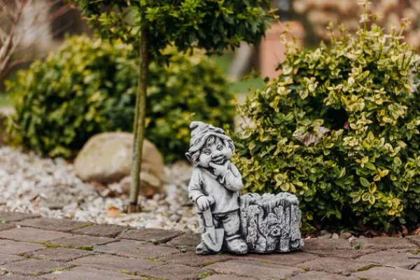Gartendekoparadies Gnome-Ce gnome aime la forêt