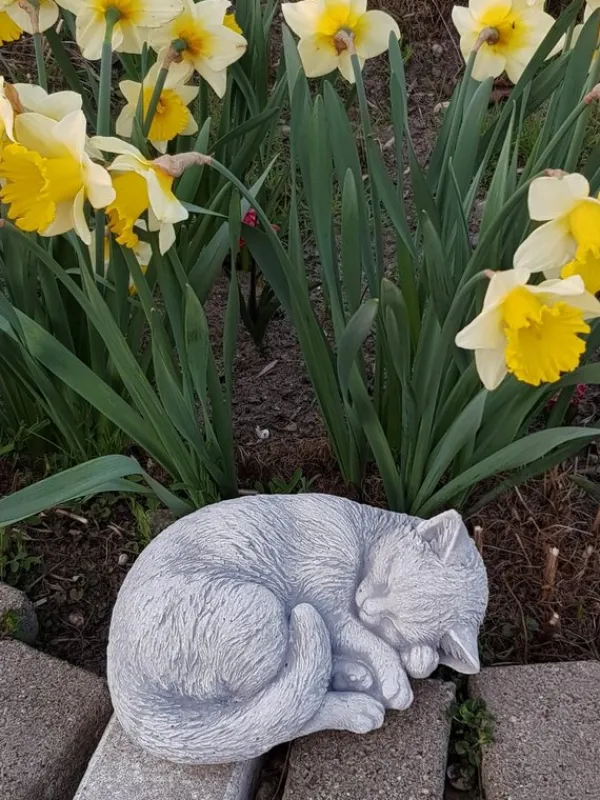 Gartendekoparadies Animaux-Chat endormi