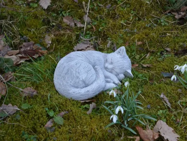 Gartendekoparadies Animaux-Chat endormi