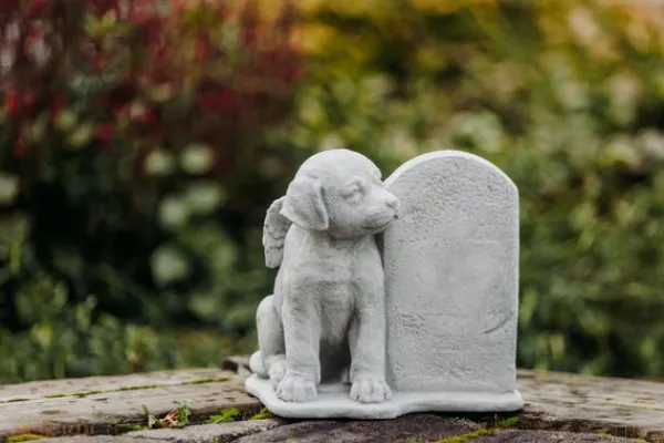 Gartendekoparadies Animaux-Chien ange avec pierre tombale