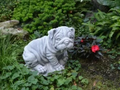 Gartendekoparadies Animaux-Chien chinois Shar Pei