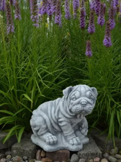 Gartendekoparadies Animaux-Chien chinois Shar Pei