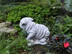 Gartendekoparadies Animaux-Chien chinois Shar Pei