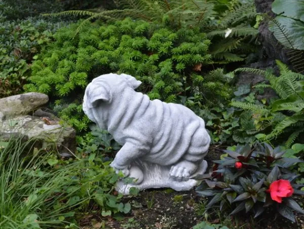Gartendekoparadies Animaux-Chien chinois Shar Pei
