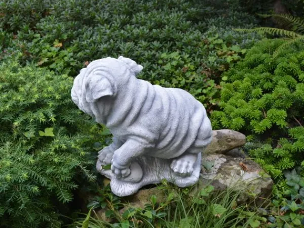 Gartendekoparadies Animaux-Chien chinois Shar Pei