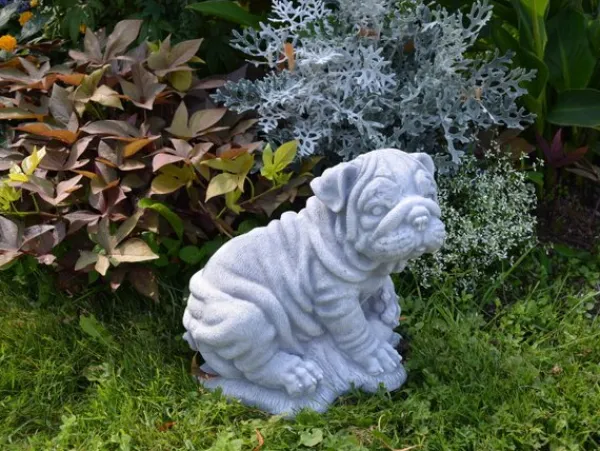 Gartendekoparadies Animaux-Chien chinois Shar Pei