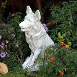Gartendekoparadies Animaux-Chien de race berger allemand