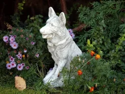 Gartendekoparadies Animaux-Chien de race berger allemand