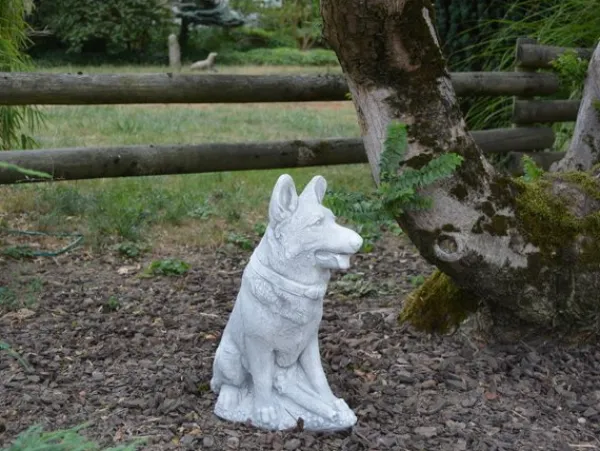 Gartendekoparadies Animaux-Chien de race berger allemand