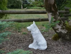 Gartendekoparadies Animaux-Chien de race berger allemand