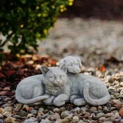 Gartendekoparadies Animaux-Chien et chat dans une complicité chaleureuse