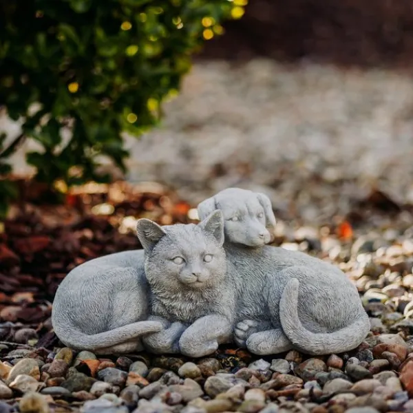 Gartendekoparadies Animaux-Chien et chat dans une complicité chaleureuse