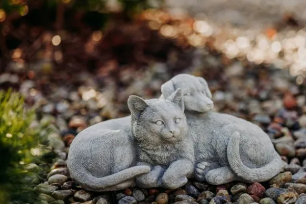 Gartendekoparadies Animaux-Chien et chat dans une complicité chaleureuse