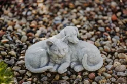 Gartendekoparadies Animaux-Chien et chat dans une complicité chaleureuse