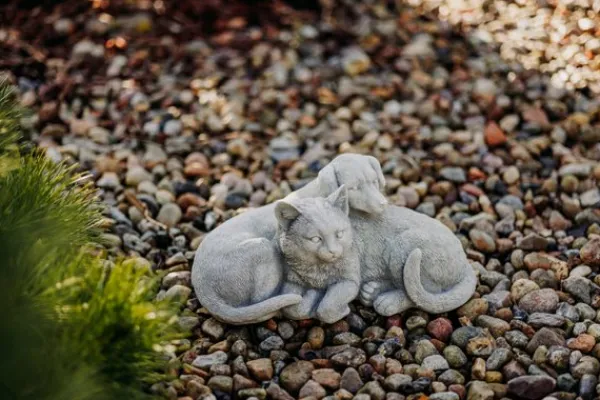Gartendekoparadies Animaux-Chien et chat dans une complicité chaleureuse